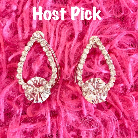 Jewelry - 🎖HP🎖Beautiful Stud Statement Earrings (NWOT)